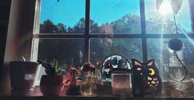 Exclusive: Rapidly Aging (Canopy) premiere new single "To Keep From" off upcoming debut LP