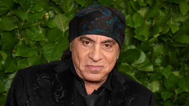 Sopranos star Steven Van Zandt has written a TV show about three brothers - a rock star, a gangster and a FBI agent - and he wants Johnny Depp to take a starring role