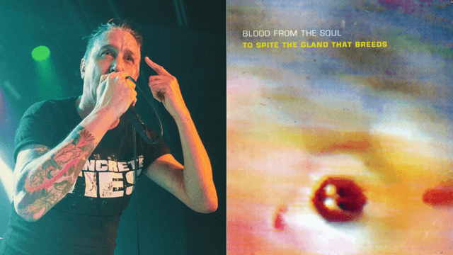 To Spite the Gland That Breeds: Remembering Lou Koller's Strangest Record