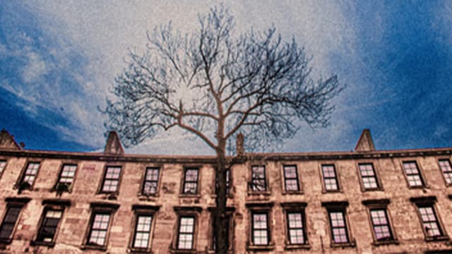 Album review: Gallus – Life Is Bliss