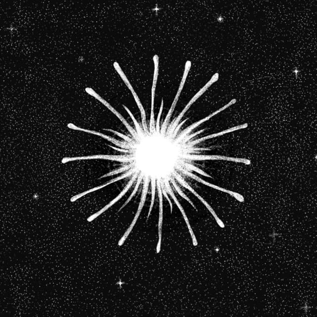 Agonanist releases sophomore album The Spirit of Gravity