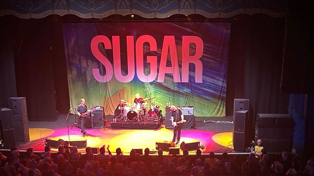 Sugar performs energetic reunion show in London