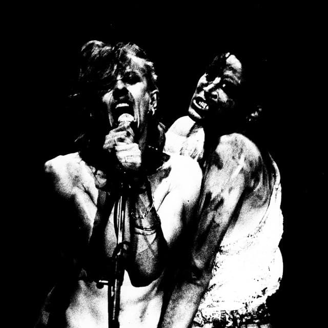 The Virgin Prunes