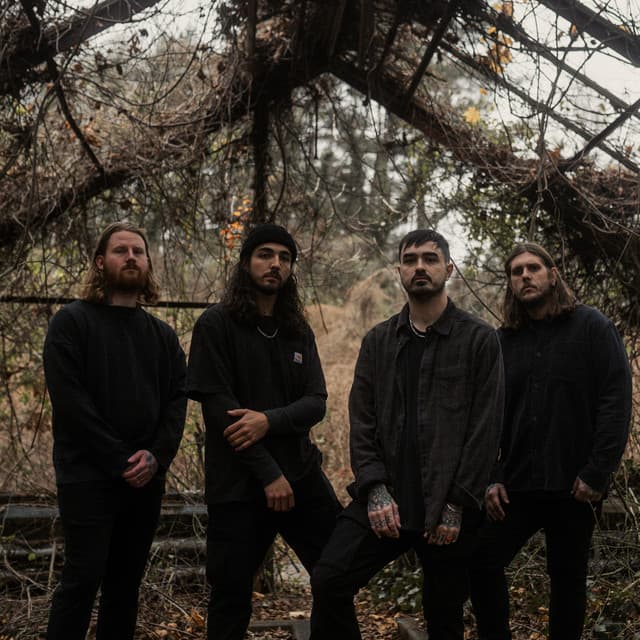 Like Moths to Flames