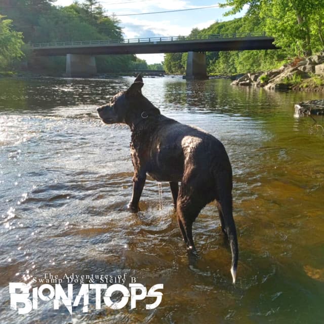 Bionatops